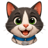 Gatos
