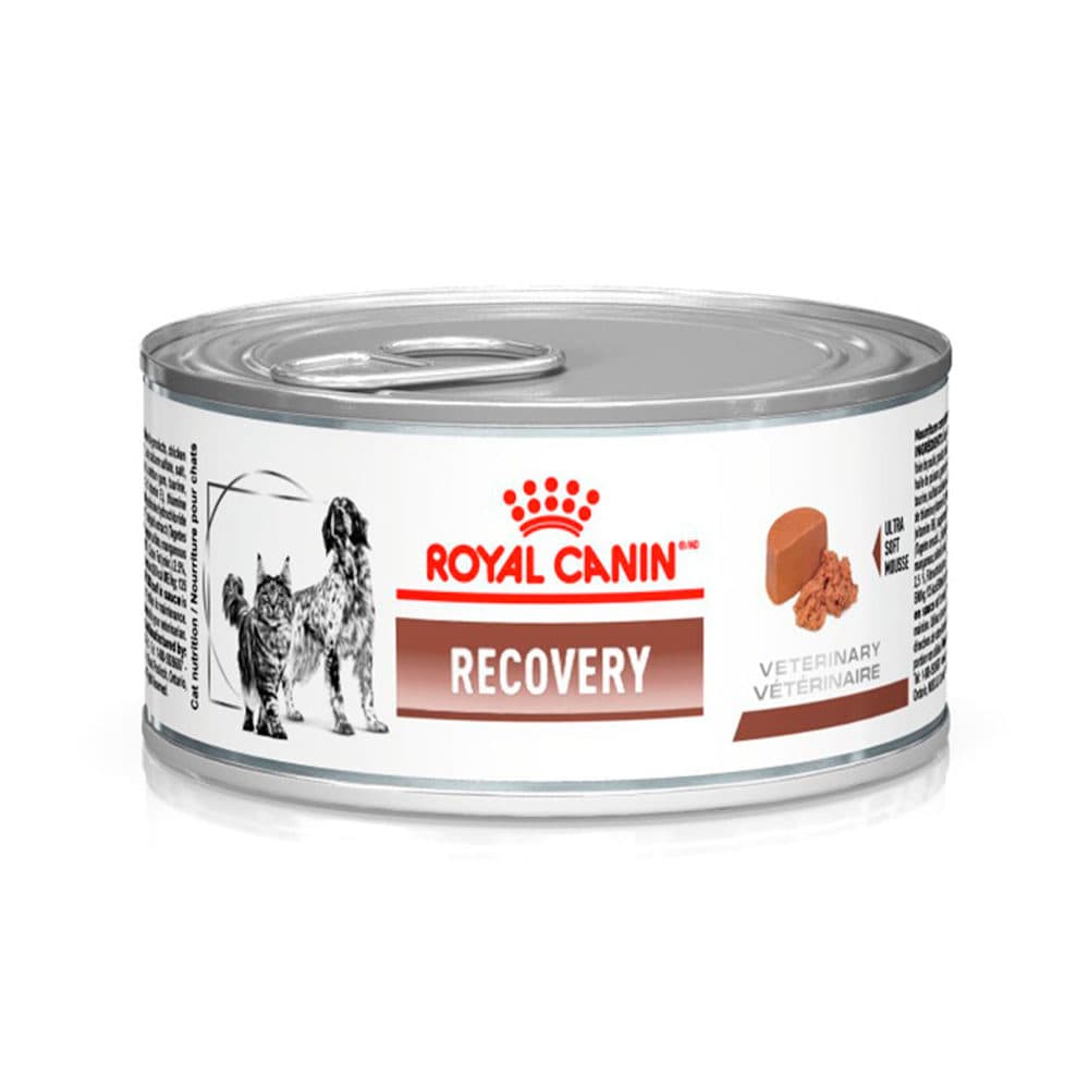 Alimento Terapêutico Royal Canin Recovery Pâté 195g — Recuperação Pós-Cirúrgica para Cães e Gatos — Royal Canin